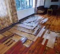 井岸鎮(zhèn)殺蟲別墅地板案例