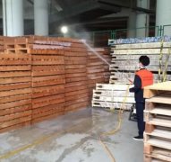 井岸鎮(zhèn)殺蟲案例展示